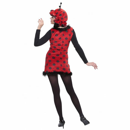 Feestbazaar Lieveheersbeestje kostuum dames pluche