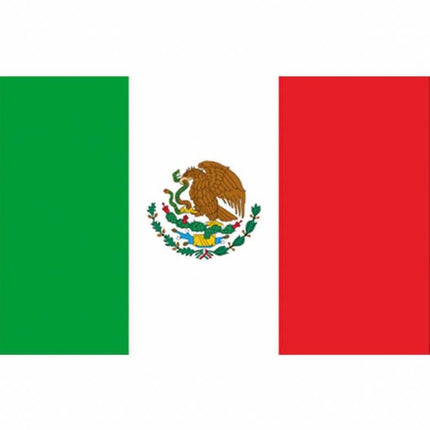 Feestbazaar Mexicaanse vlag 90x150cm