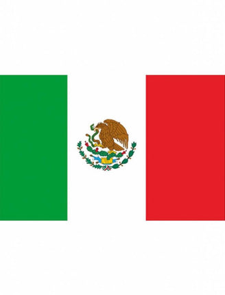Feestbazaar Mexicaanse vlag 90x150cm