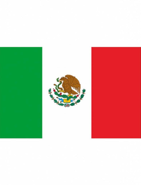 Feestbazaar Mexicaanse vlag 90x150cm