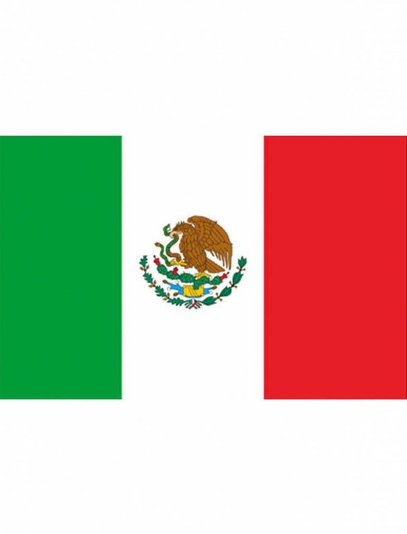 Feestbazaar Mexicaanse vlag 90x150cm