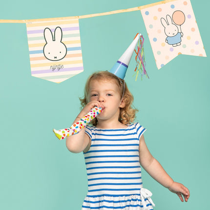 Feestbazaar Nijntje Pastel Vlaggenlijn Vaantjes (4m)