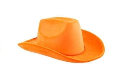 Feestbazaar Oranje Cowboyhoed fluweel Goodwin