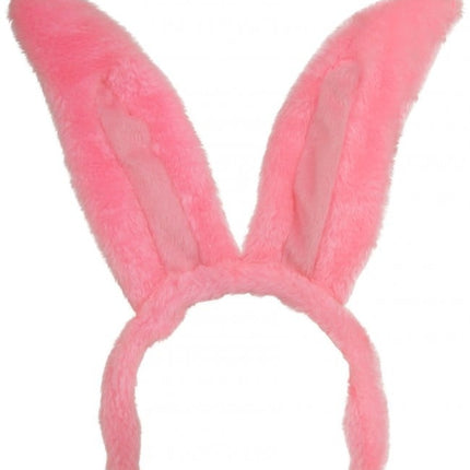 Feestbazaar Oren Haas Diadeem Roze