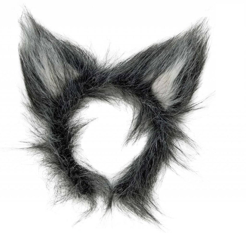 Feestbazaar Oren Wolf