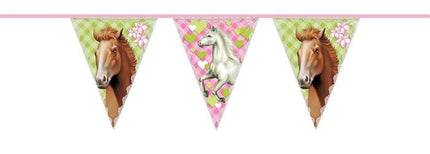 Feestbazaar Paarden Slingers Party 6 meter