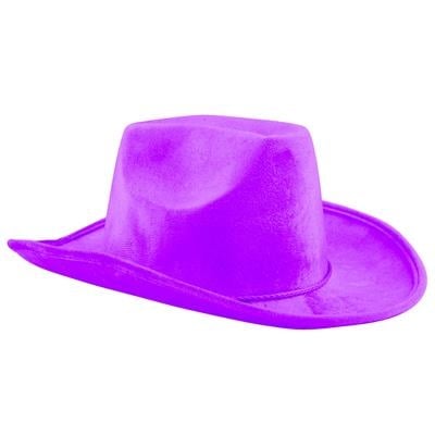 Feestbazaar Paarse Cowboyhoed fluweel Goodwin