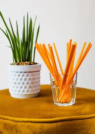 Feestbazaar Papieren Rietjes Oranje (20st)