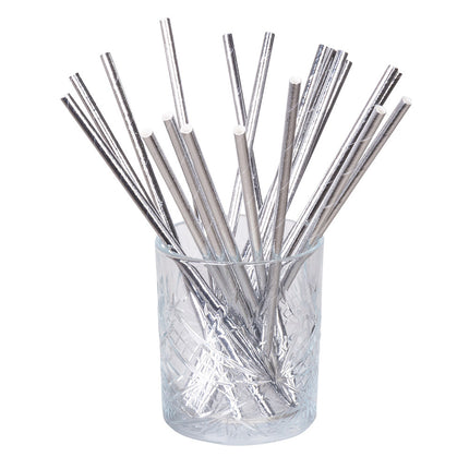 Feestbazaar Papieren Rietjes Zilver - 20 Stuks