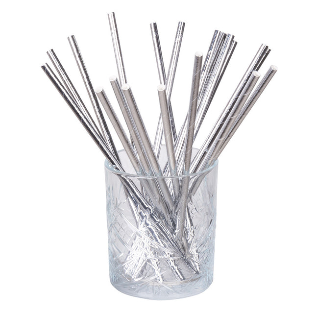 Feestbazaar Papieren Rietjes Zilver - 20 Stuks