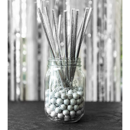 Feestbazaar Papieren Rietjes Zilver - 20 Stuks