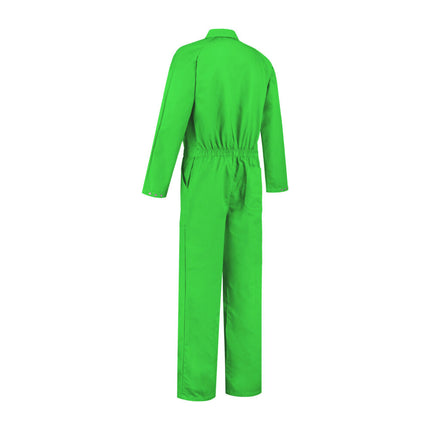 Feestbazaar Party Overall Appelgroen Volwassenen Premium