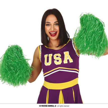 Feestbazaar Pom Pom Groen Stick (2st)
