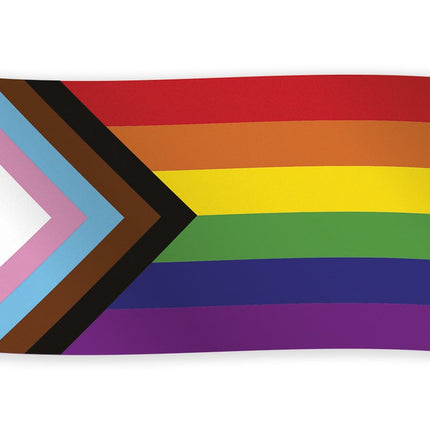 Feestbazaar Pride Progress Vlag 150x90cm