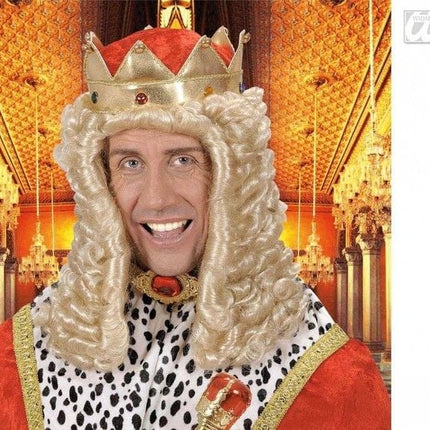 Feestbazaar Pruik koning Louis 14e