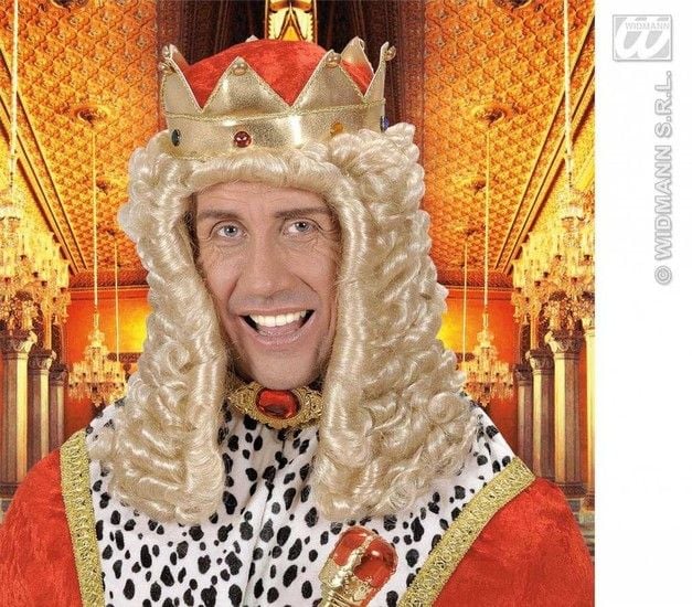 Feestbazaar Pruik koning Louis 14e