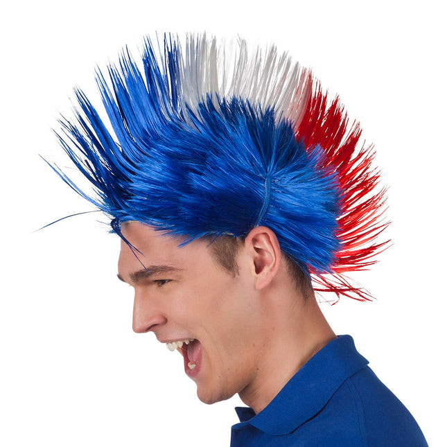 Feestbazaar Pruik Punk Frankrijk