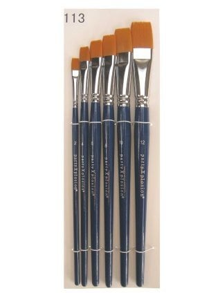 Feestbazaar PXP penselenset in etui 6 stuks