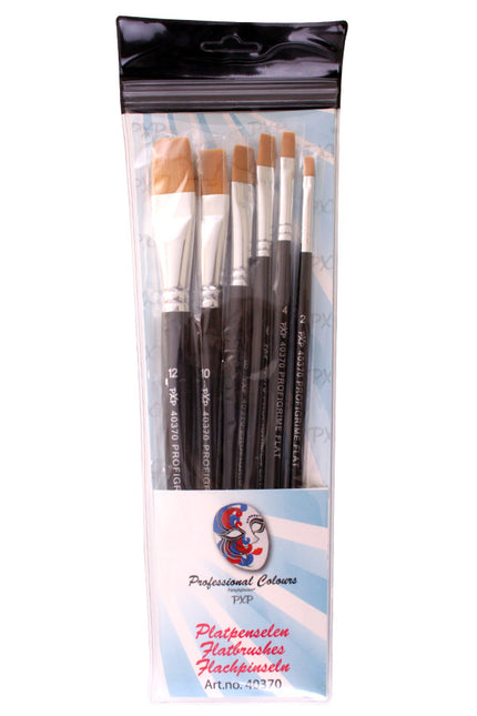Feestbazaar PXP Professional Penselen Set Synthetisch Profigrime (6st)