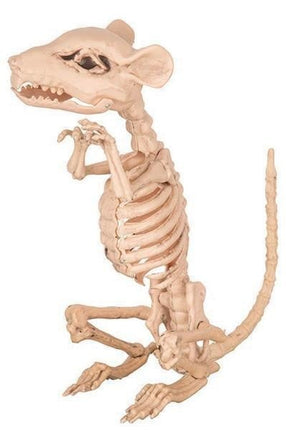 Feestbazaar Rat Skelet