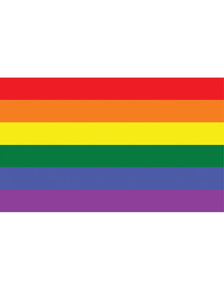Feestbazaar Regenboog vlag 90x150cm