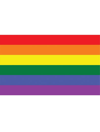 Feestbazaar Regenboog vlag 90x150cm