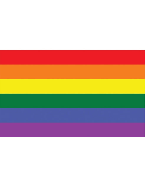 Feestbazaar Regenboog vlag 90x150cm