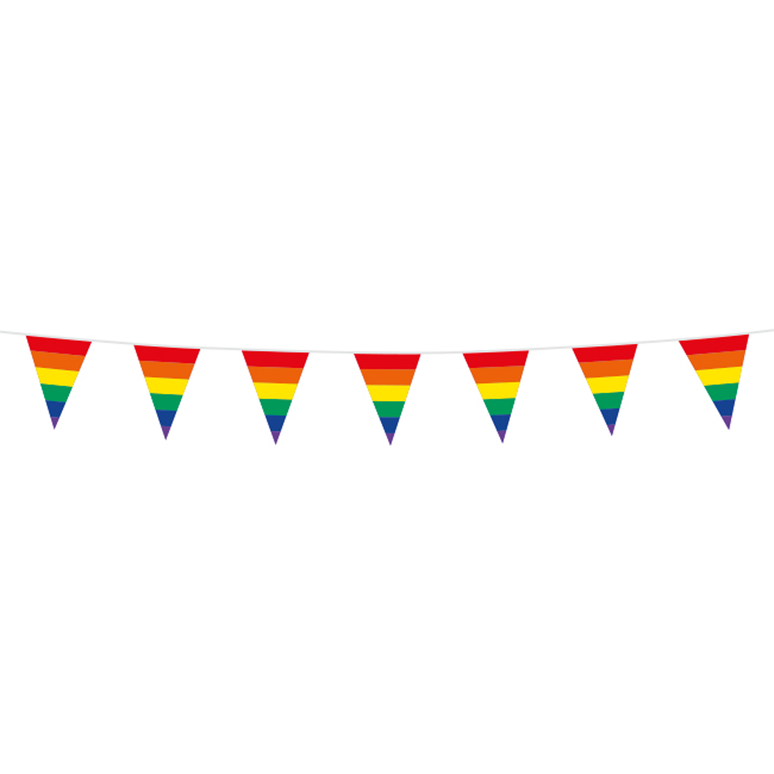 Feestbazaar Regenboog Vlaggenlijn Pride (3m)