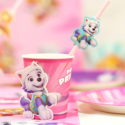 Feestbazaar Rietjes Paw Patrol Roze (8st)
