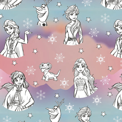Feestbazaar Rol Cadeaupapier Frozen getekend