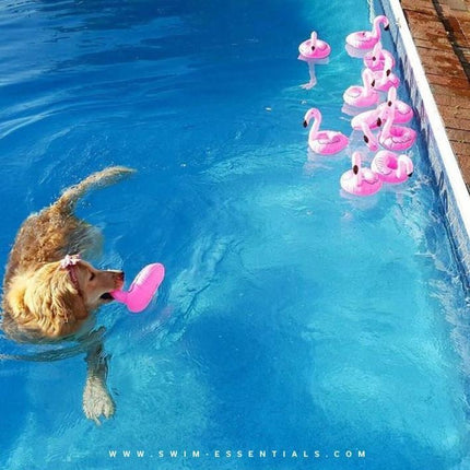 Feestbazaar Roze Opblaas Flamingo Bekerhouder