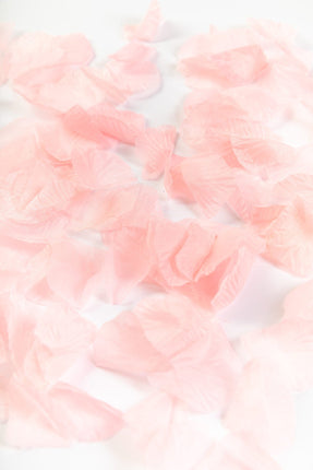 Feestbazaar Rozenblaadjes Baby roze