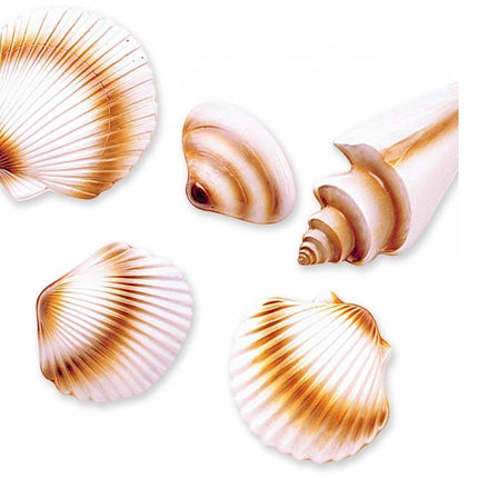 Feestbazaar Schelpen decoratie hawaii pvc