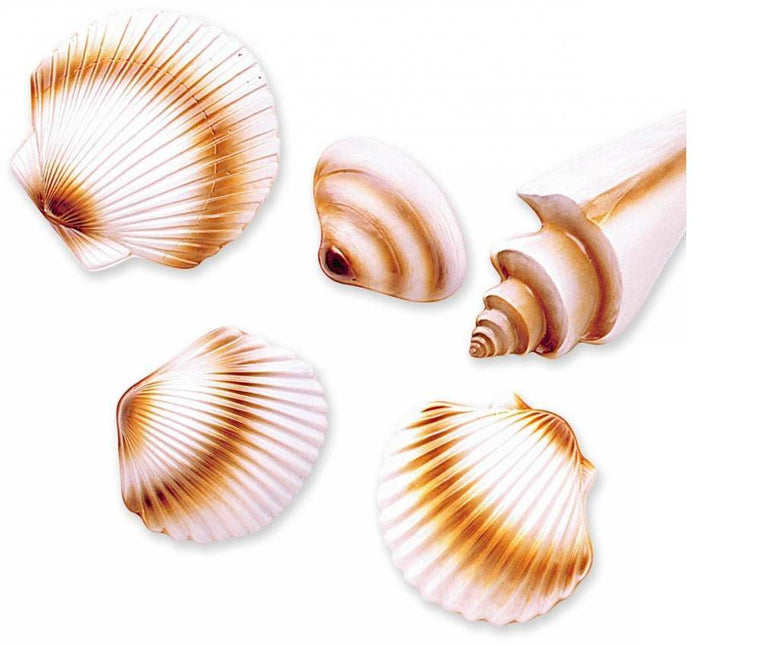 Feestbazaar Schelpen decoratie hawaii pvc