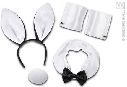 Feestbazaar Sexy Bunny set