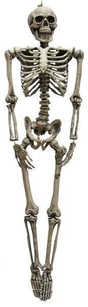 Feestbazaar Skelet Horror decoratie