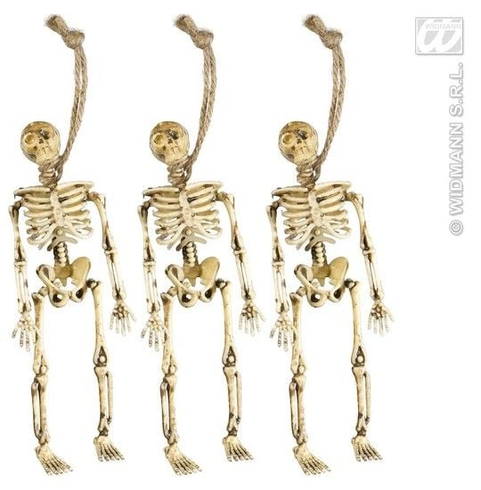 Feestbazaar Skeletjes 15cm (3st)