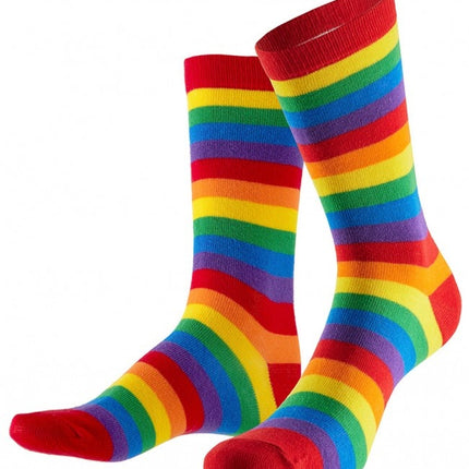 Feestbazaar Sokken gestreept regenboog