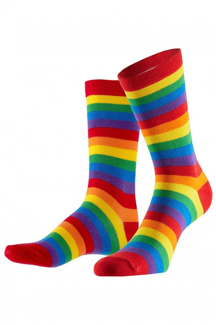 Feestbazaar Sokken gestreept regenboog