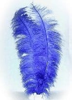 Feestbazaar Spadonis Donker blauw