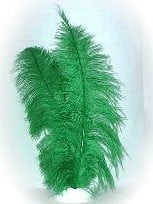 Feestbazaar Spadonis groen
