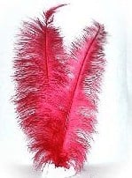 Feestbazaar Spadonis rood