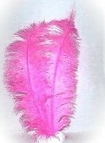 Feestbazaar Spadonis roze