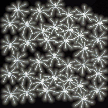 Feestbazaar Spinnen glow in the dark