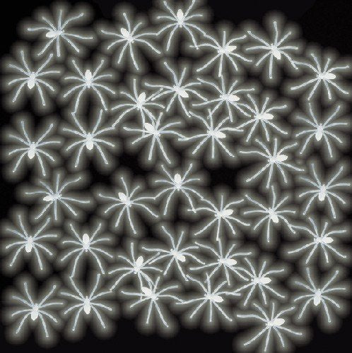 Feestbazaar Spinnen glow in the dark