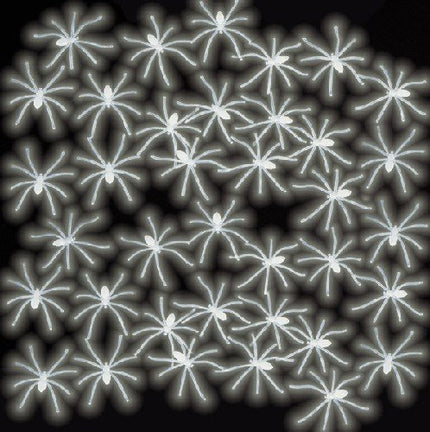 Feestbazaar Spinnen glow in the dark