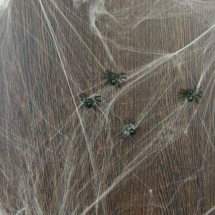 Feestbazaar Spinnenweb 20 gram met 6 spinnen