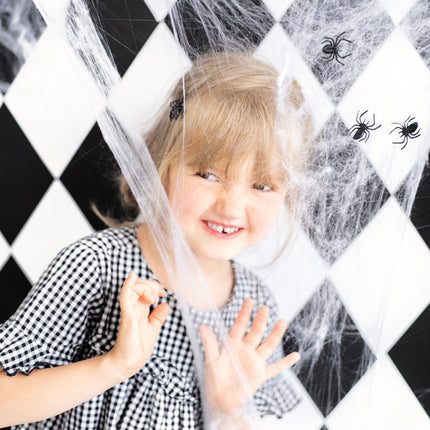 Feestbazaar Spinnenweb Halloween met 2 Spinnen