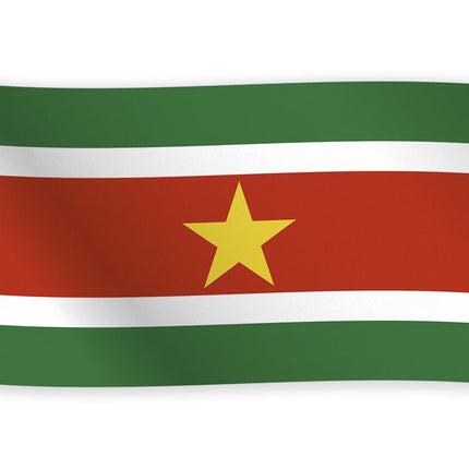 Feestbazaar Surinaamse vlag 150x90cm