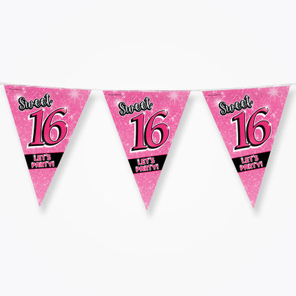 Feestbazaar Sweet 16 Vlaggenlijn Roze (10m)